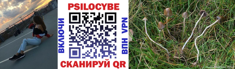Псилоцибиновые грибы Psilocybine cubensis  купить наркотики цена  Гусь-Хрустальный 