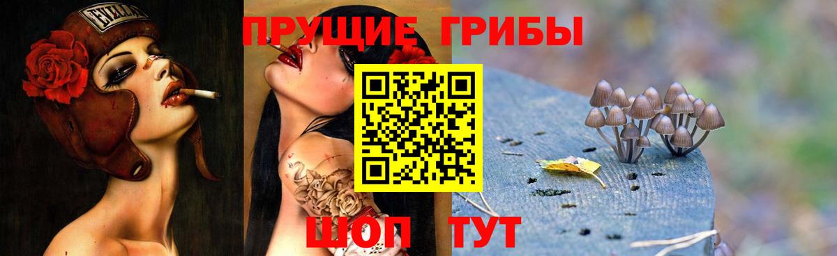 Псилоцибиновые грибы GOLDEN TEACHER Гусь-Хрустальный